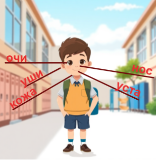 Урок 24. Как възприемам света